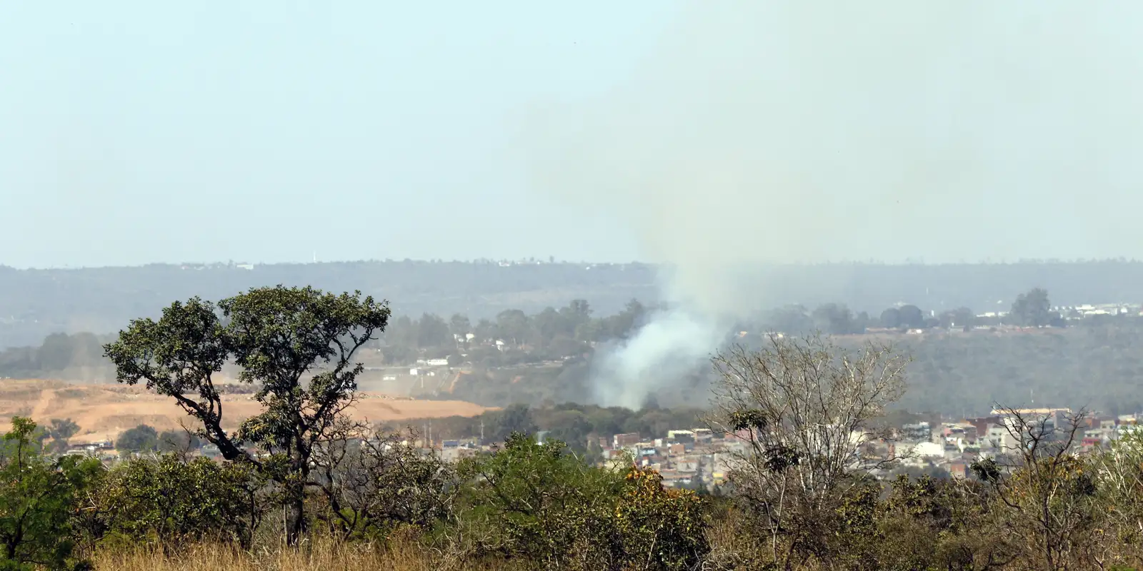 MMA lança edital para arborizar periferia urbana de pequenas cidades