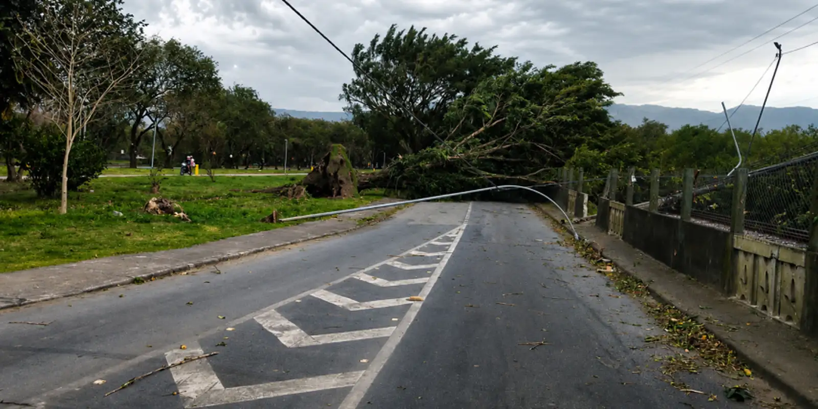 SP: ventania pode atingir 50 km/h no fim de semana